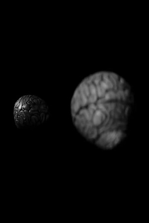 Brian; or, Brain