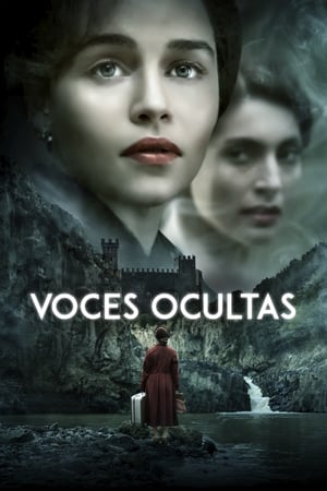 Poster Voces ocultas 2017