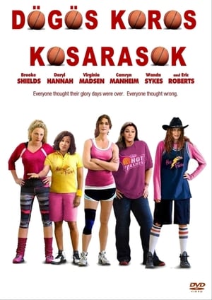 Poster Dögös koros kosarasok 2013