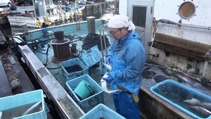 Japanology Plus: 5×1