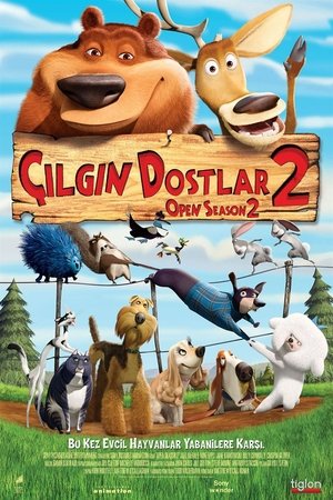 Çılgın Dostlar 2 (2008)