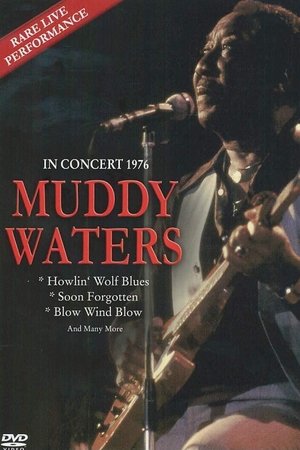 Muddy Waters Rhythm & Blues Band Festival Concert Dortmund poster