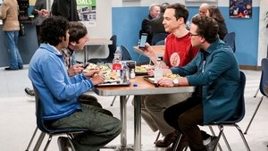 The Big Bang Theory Temporada 11 Capitulo 14