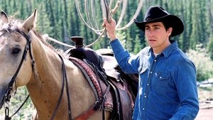 O Segredo de Brokeback Mountain – Dublado