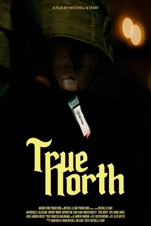 Poster True North (2021)