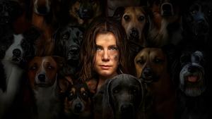 Canina