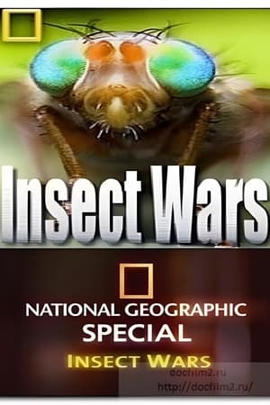 National Geographic Insect Wars