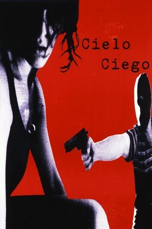 Poster Cielo ciego 1998