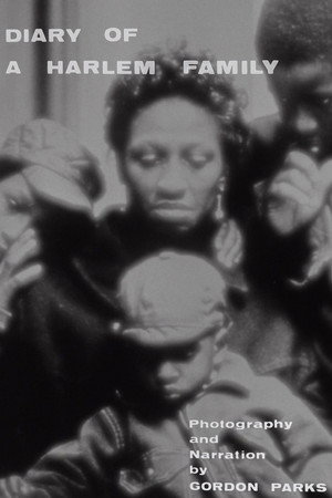 Diary of a Harlem Family 3
