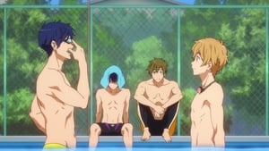 Free! Captive Butterfly