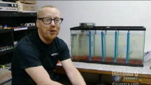 Pogromcy mitów: s2e4