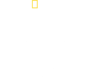 Shark Attack Files
