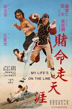 Poster 賭命走天涯 1978