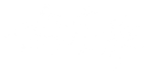 水东游 — Logos 1