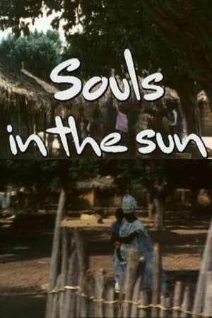 Poster Les âmes au soleil 1981