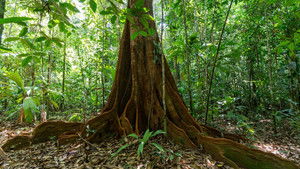 Episode 8 | StreamHub