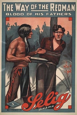 Poster The Way of the Redman (1914)