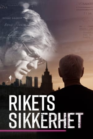 Rikets sikkerhet