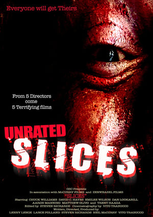 Poster Slices (2008)