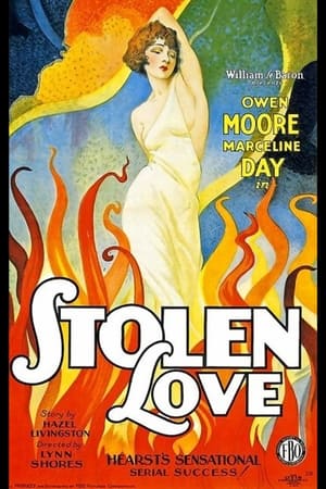 Poster Stolen Love 1928