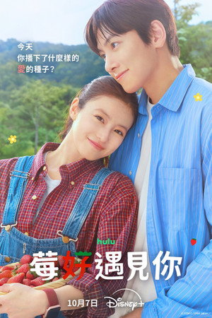 莓好遇見你