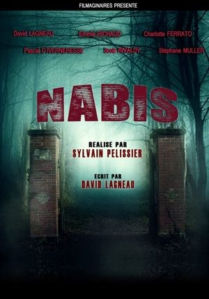 Image Nabis