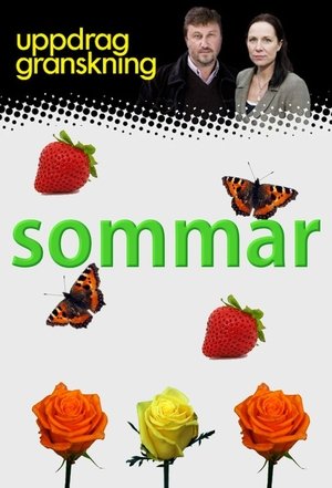 Poster Uppdrag granskning sommar 