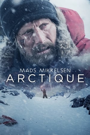 Poster Arctic 2018