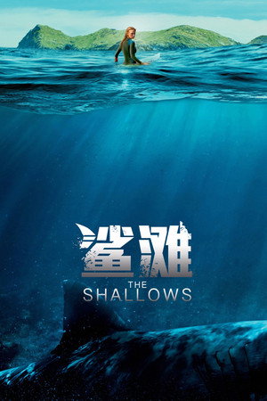 The Shallows 149