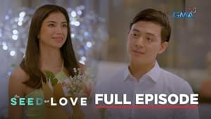 The Seed of Love: Season 1 Full Episode 31