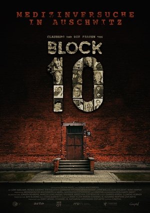 Made in Auschwitz: The Untold Story of Block 10