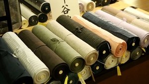 Journeys in Japan: 11×25