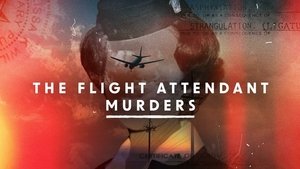 The Flight Attendant Murders S1E1