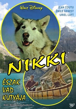 Image Nikki, észak vad kutyája
