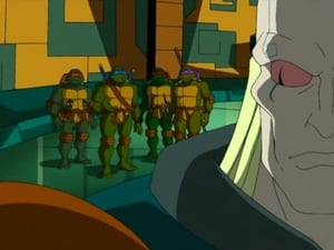 Teenage Mutant Ninja Turtles: 1×15