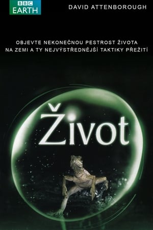 Poster Život 2009