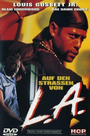 Auf den Straßen von L.A. 1993