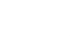 Ảnh 47