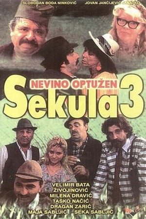 Poster Sekula Innocent Accused (1992)