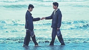 Việt and Nam ( 2024 )