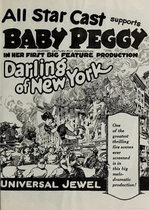 Poster The Darling of New York 1923