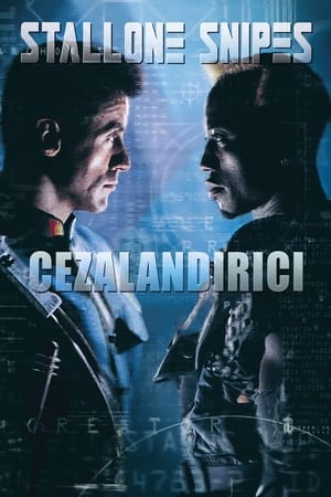 Poster Cezalandırıcı 1993