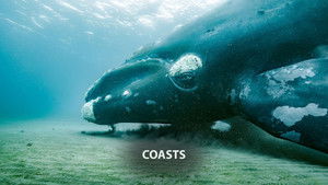 Planet Earth III: 1×1