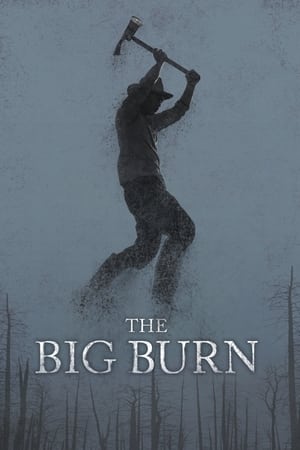 Poster The Big Burn (2015)