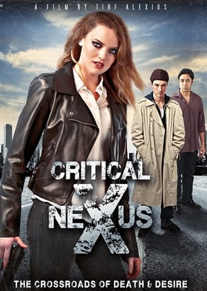 Poster Critical Nexus (2013)