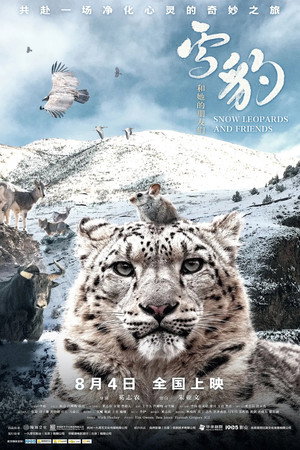 Snow Leopards and Friends