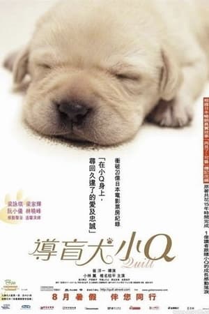 Poster 导盲犬小Q 2004