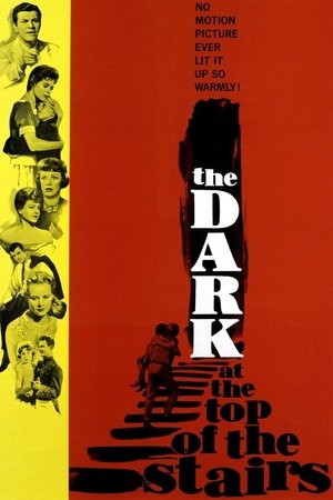 The Dark at the Top of the Stairs poster