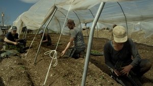 La ferme et son état