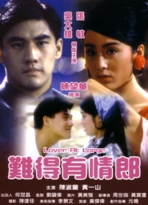 Poster 难得有情郎 1991